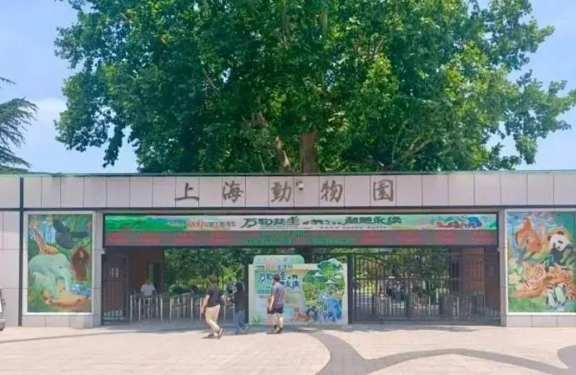 10月龄婴儿展馆内喝奶被赶出<strong></p>
<p>兔兔币怎么用</strong>，上海动物园称做法合规，客服：暂未接到增设母婴室通知