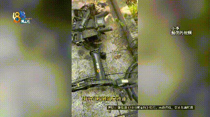 骑大牌电动车断成两截<strong></p>
<p>龙</strong>，结果还被厂商举报了？当事人：就跟老母猪上树一样