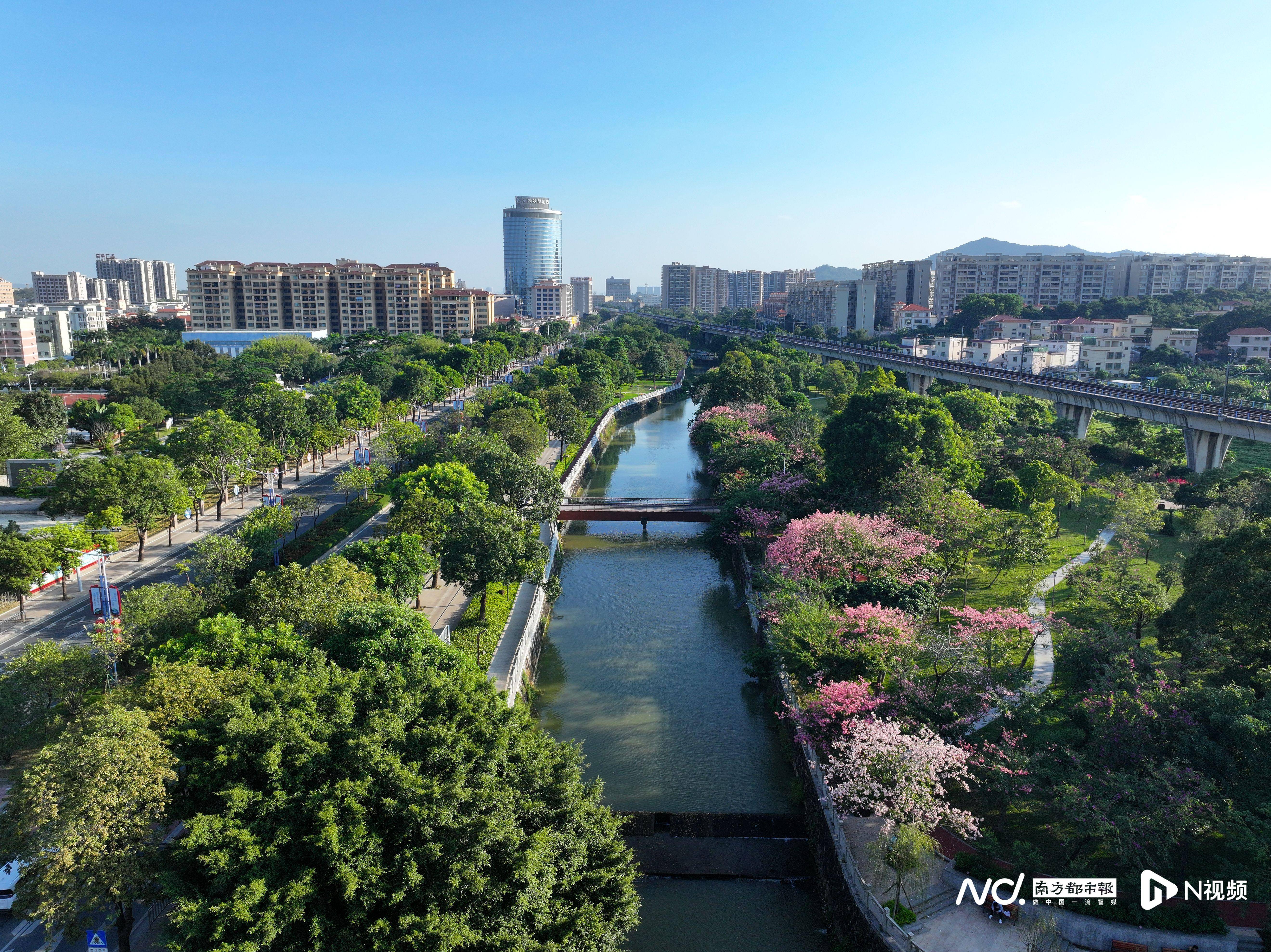 曾3次被央督点名<strong></p>
<p>虚拟货币投资</strong>，广东中山如何用三年打好治水“翻身仗”？