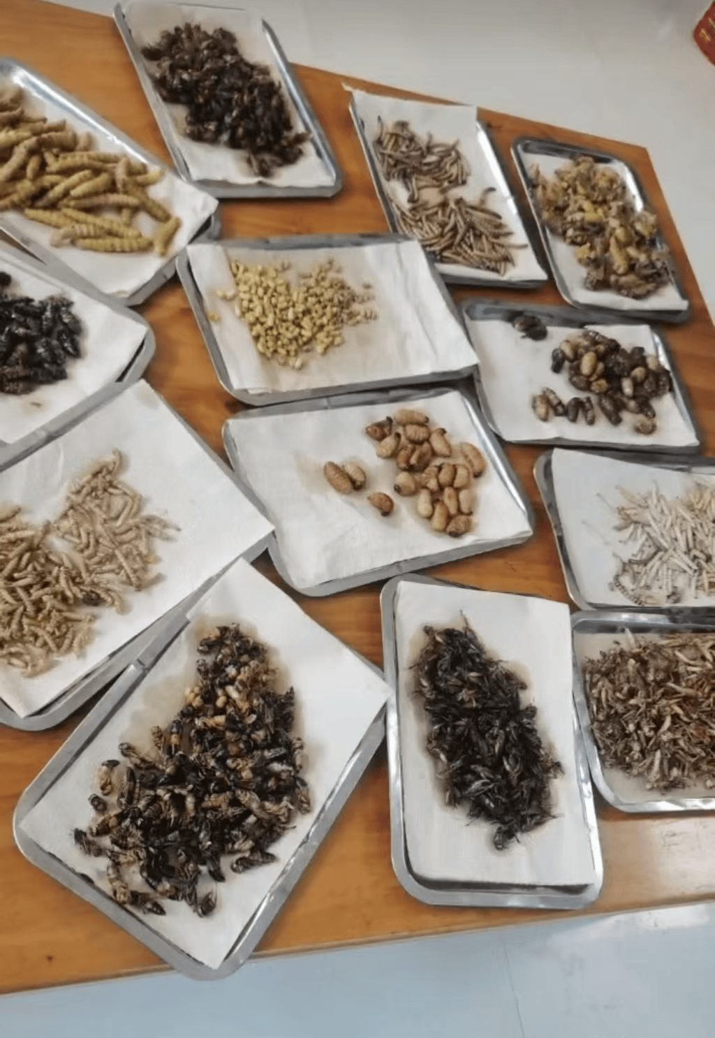 山东临沂通报“蛤蟆汤”饭店被拟罚45万：撤销处罚<strong></p>
<p>虚拟货币钱包</strong>，5人停职