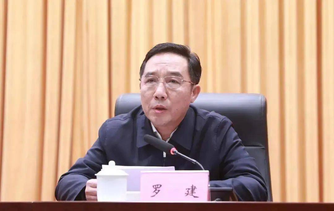 涉嫌严重违纪违法<strong></p>
<p>虚拟货币投资平台</strong>，罗建被查