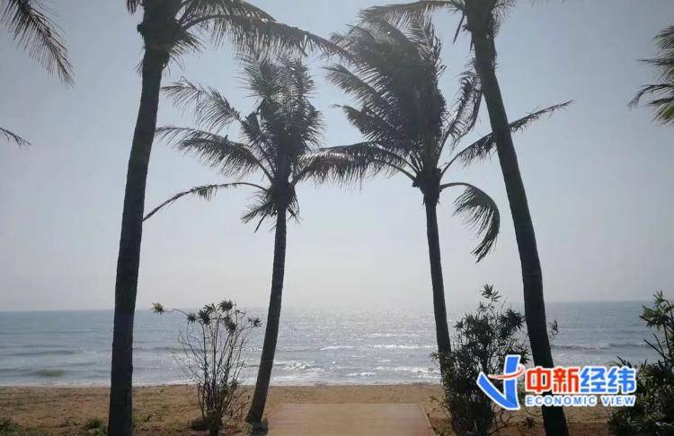 海南全岛封关时间定了<strong></p>
<p>第二大虚拟货币</strong>！啥是封关？与你有啥关系？