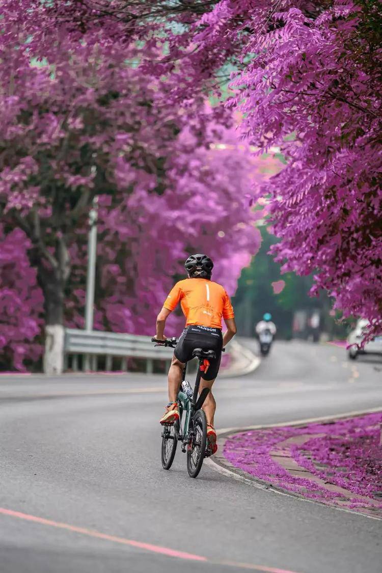 拍一天最多赚千元<strong></p>
<p>虚拟货币实时行情</strong>！追焦摄影师成为月入过万新职业？