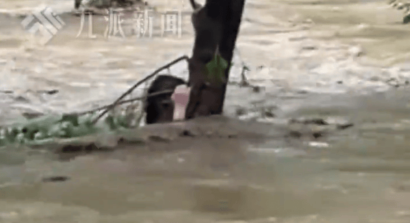 强降雨致河北一露营地突发山洪<strong></p>
<p>以太坊最新价格行情</strong>，多人被困，亲历者：大家抱着一棵树坚持了7个小时