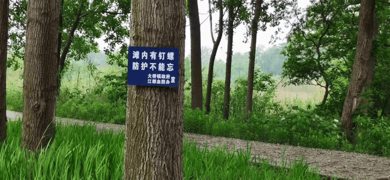 一旦接触<strong></p>
<p>以太坊美元</strong>，10秒即可感染！汛期谨防这种病→