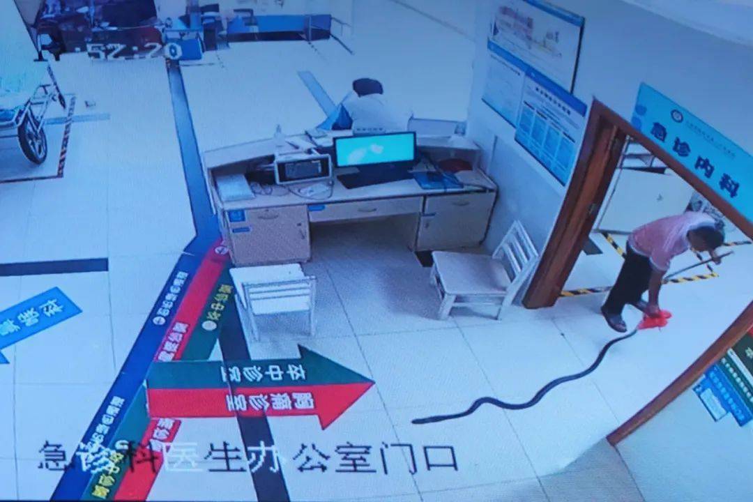眼镜王蛇咬伤老人<strong></p>
<p>以太坊实时价格行情</strong>，家属拖两米多长的“凶手”冲进医院！“拎蛇就医”可取吗？