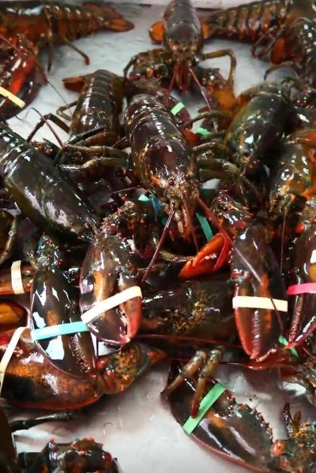 一天20元餐费能吃到龙虾、鲍鱼、海参……河南一幼儿园餐食走红<strong></p>
<p>以太坊现价</strong>，网友称堪比星级酒店