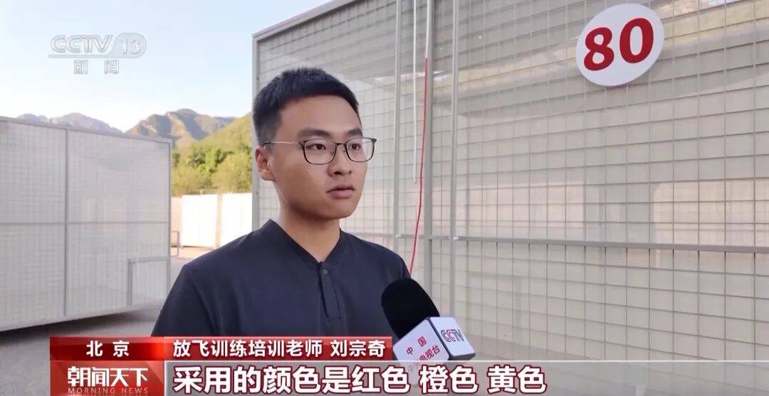 明天将放飞8万羽和平鸽、8万只气球<strong></p>
<p>以太坊实时价格</strong>，揭秘！