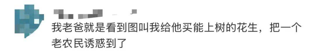 “花生上树”闹剧：AI翻车背后<strong></p>
<p>以太坊实时走势</strong>，我们都在弄丢常识？