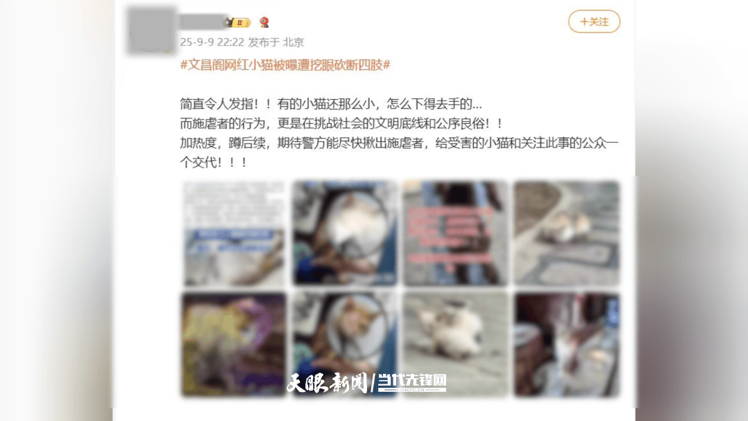 大反转<strong></p>
<p>以太坊走势</strong>！贵阳“挖眼虐猫”事件系AI编造