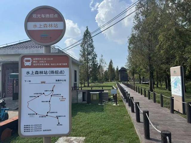 上海著名地标宣布：24小时内可免费停车<strong></p>
<p>以太坊升级</strong>！