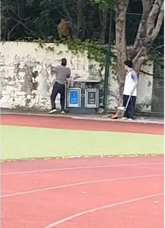 福建一公办职中保安被指当学生面<strong></p>
<p>以太坊升级</strong>，从3米高墙扔出流浪狗！福清教育局：将核实情况