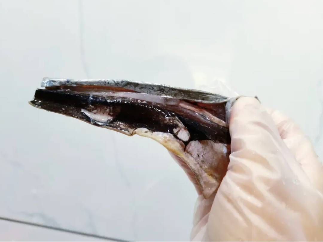 这种“国民廉价鱼”<strong></p>
<p>以太坊官网</strong>,一直被低估!其实营养价值超高