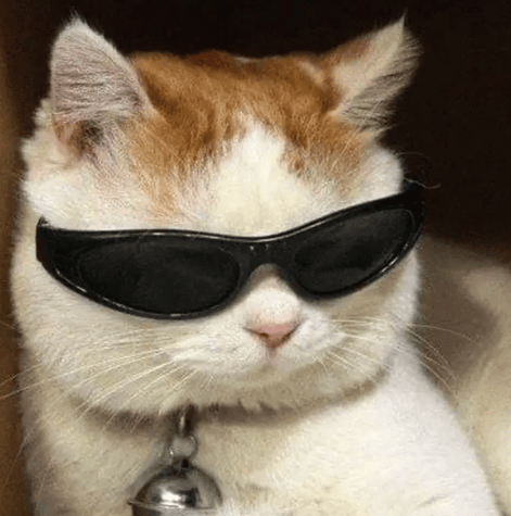 “不亚于春节回家”！凌晨5点<strong></p>
<p>以太坊大跌</strong>，深圳有人已经堵在路上……