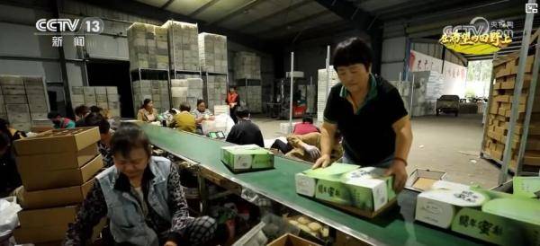 产销两旺<strong></p>
<p>以太坊币行情</strong>!“小特产”变身变身乡村振兴“致富果” 激活“甜蜜经济”新热力