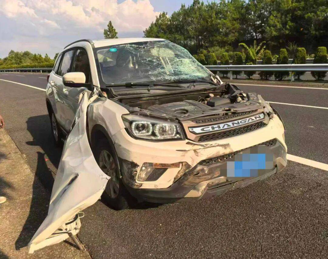 “我撒谎天打雷劈!”男子高速突然强行变道致翻车<strong></p>
<p>以太坊币价格今日行情</strong>,反诬赖对方