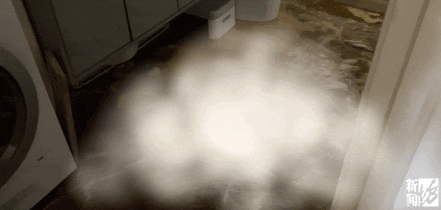 上海一业主推开家门瞬间懵了<strong></p>
<p>eth以太坊</strong>!精装房竟成“化粪池”……