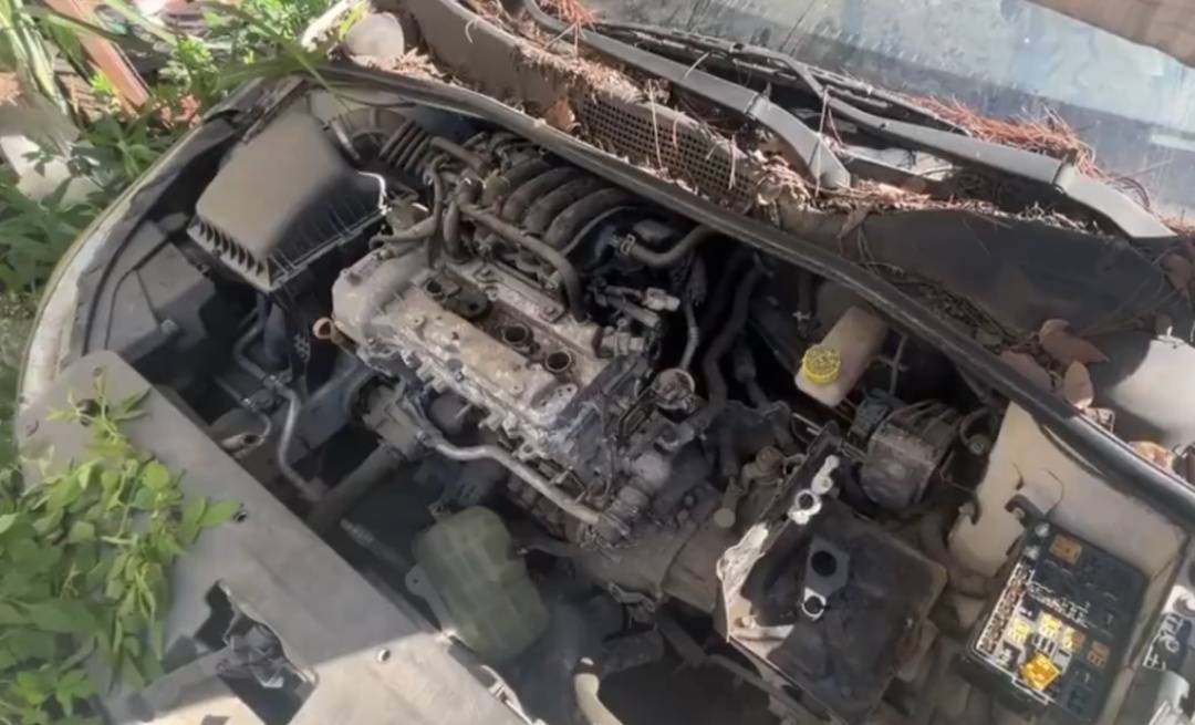 浙江男子把私家车停路边两年<strong></p>
<p>以太坊创始人</strong>，一次也没去看过！如今要用车时傻眼：还能这样？