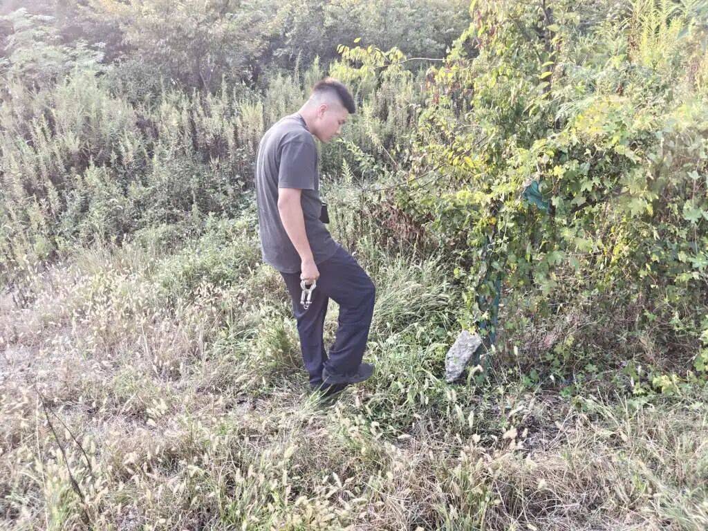 浙江一姑娘以奶茶为记号<strong></p>
<p>今日以太坊价格</strong>,竟然在草丛里藏了11万现金!