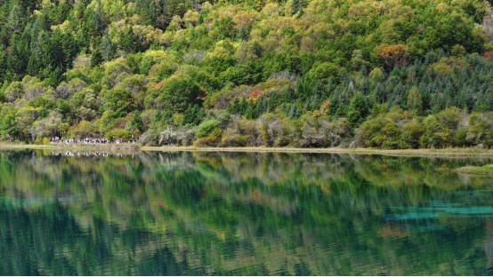 九寨沟：满山彩林如画 美景宛若人间仙境