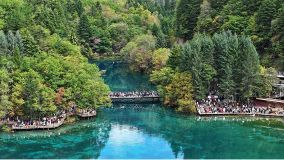 九寨沟：满山彩林如画 美景宛若人间仙境