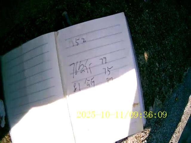 100斤玉米上秤秒变60斤？贵州一村民遭“鬼秤”骗粮！民警出手<strong></p>
<p>以太坊行情最新价格</strong>，5人被拘