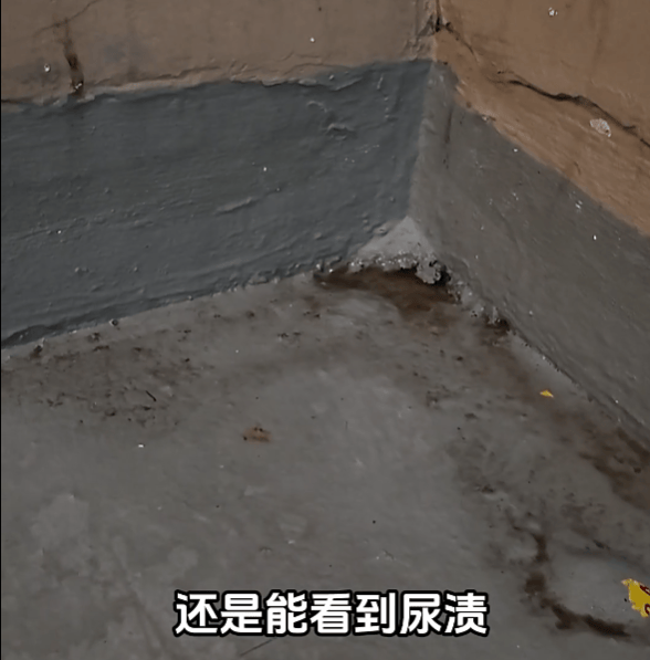 上海有外卖员在楼道看着监控继续尿尿<strong></p>
<p>以太坊行情最新价格</strong>！居民苦不堪言：第二天味道就上来了