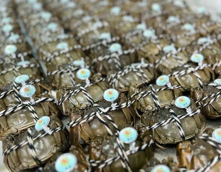 武汉江夏一地大闸蟹大量上市<strong></p>
<p>以太坊行情最新价格</strong>，日产1000斤当天售完，每只螃蟹有自己的“身份证”，吃深海小黄鱼长大