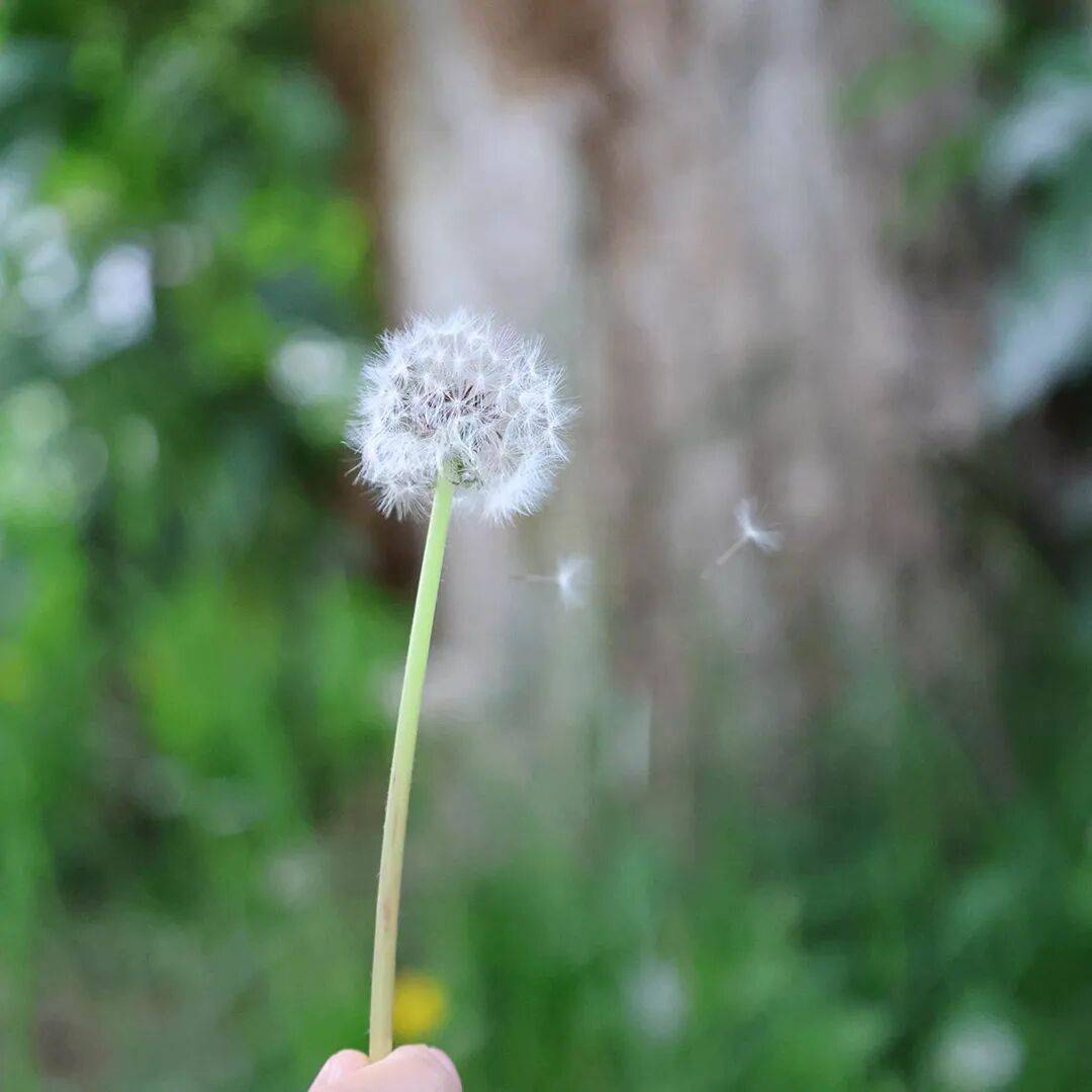 指南 | 周末来乌兰察布赴一场秋日的草原火山星空之约~