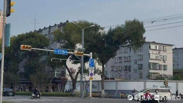 济南街头“恐龙树”走红<strong></p>
<p>以太坊查询</strong>，园林部门：形态天成，或随天气而变