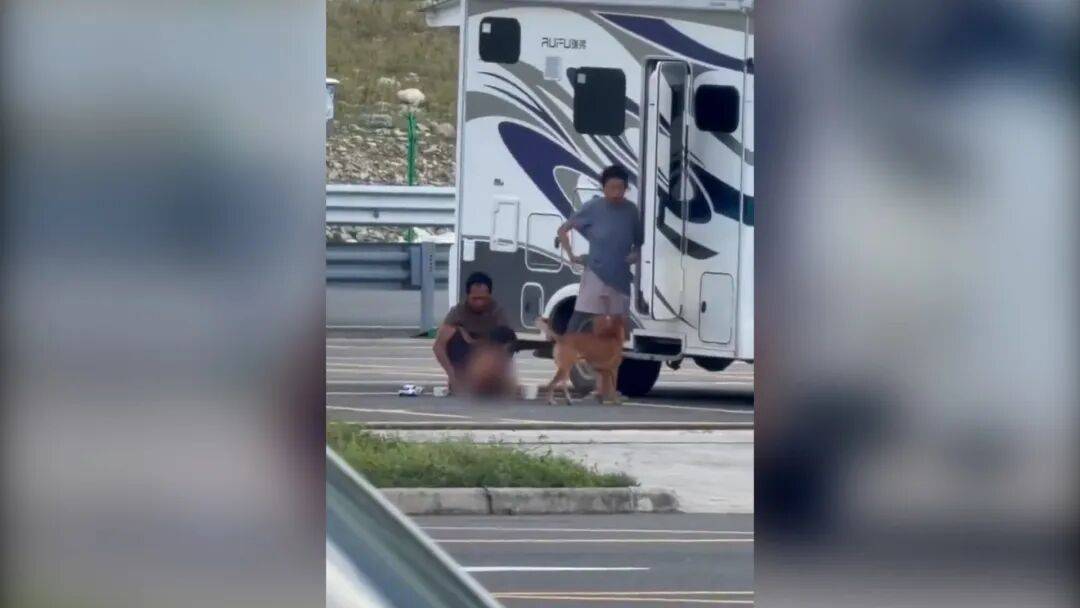 村民：“野人小孩”父亲上山“灵修”后就不正常<strong></p>
<p>以太坊手续费</strong>了