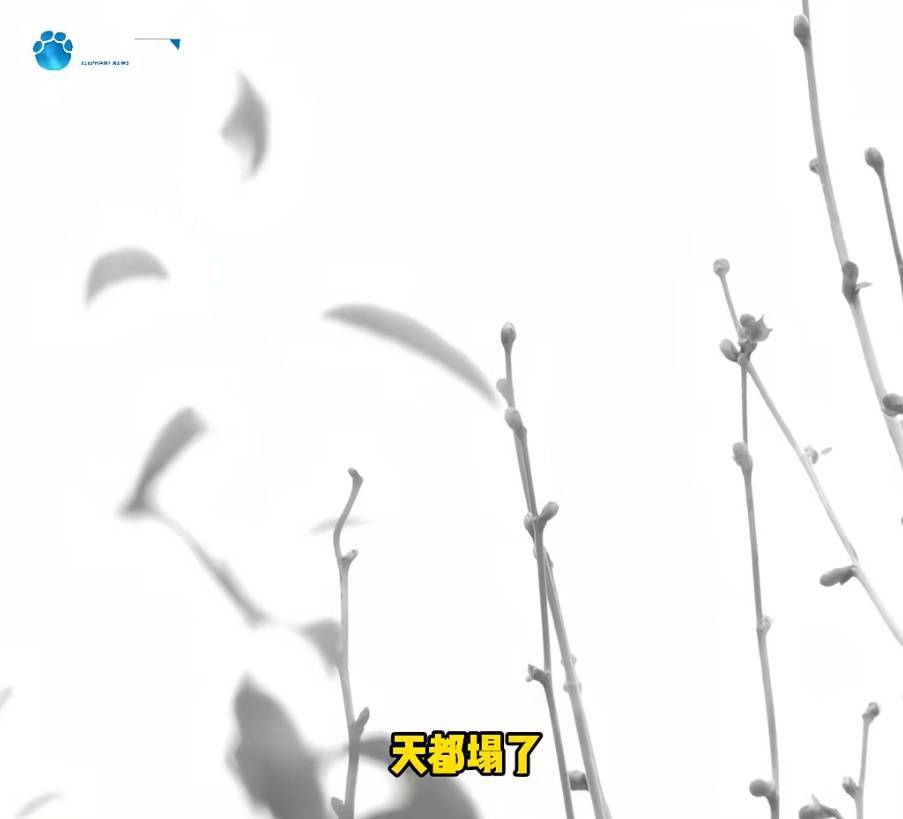 “天塌了<strong></p>
<p>以太坊市值</strong>，我一生都毁了”，男子称养了20年才发现儿子非亲生！前妻坚决否认