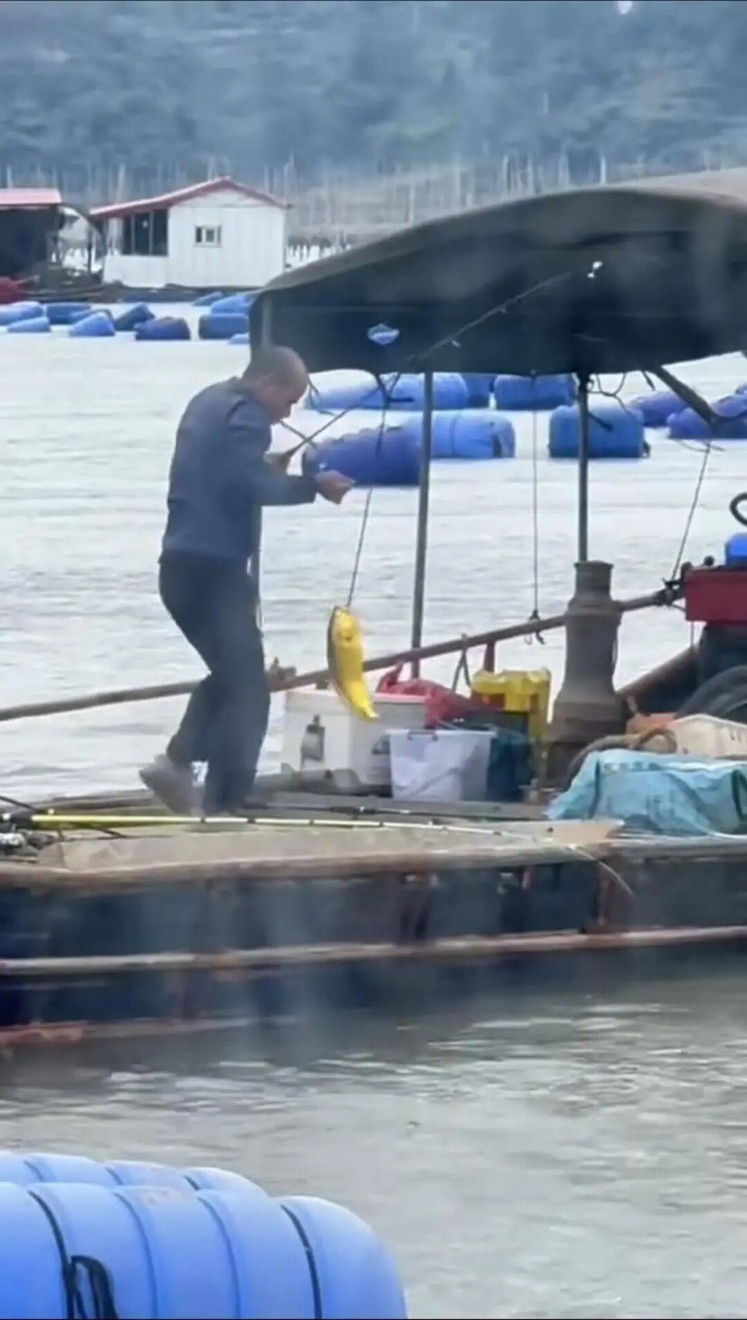 福建大爷海上钓起一条“黄金鱼”<strong></p>
<p>以太坊历史价格</strong>，引得围观群众“哇声一片”，有人估算一条能卖2万多