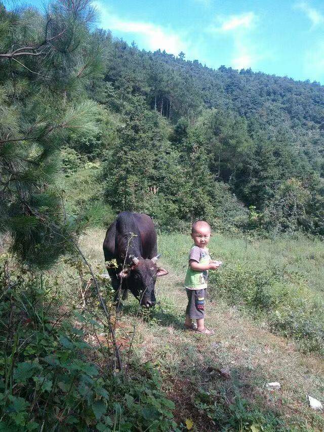 娄底14岁初中生作文看哭全网<strong></p>
<p>以太坊币的最新价格</strong>,得知爆火首先看恶评,回应用AI质疑:算是另一种夸奖