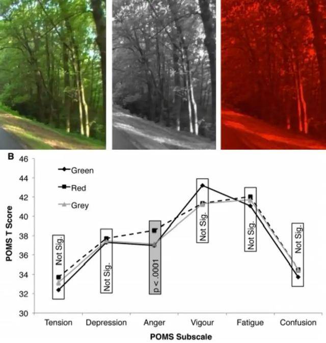 年代剧的墙<strong></p>
<p>以太坊代币查询</strong>，为什么都是上白下绿？